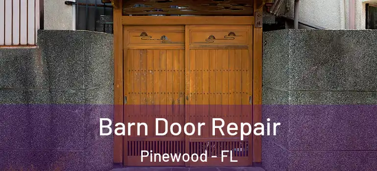  Barn Door Repair Pinewood - FL