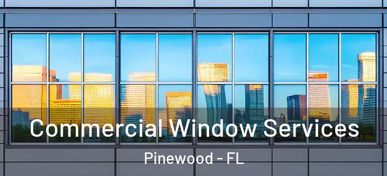  Commercial Window Services Pinewood - FL