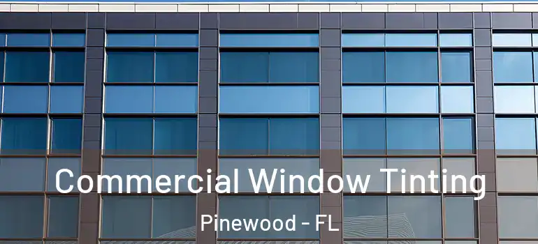  Commercial Window Tinting Pinewood - FL