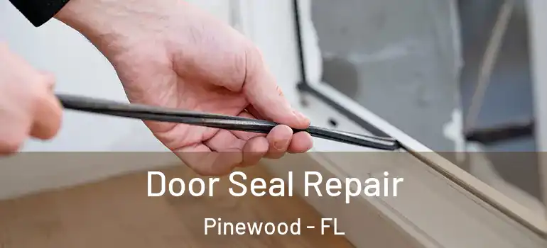  Door Seal Repair Pinewood - FL