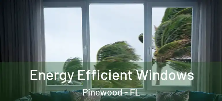  Energy Efficient Windows Pinewood - FL