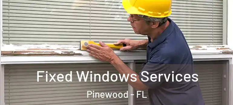  Fixed Windows Services Pinewood - FL