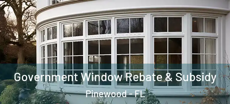  Government Window Rebate & Subsidy Pinewood - FL