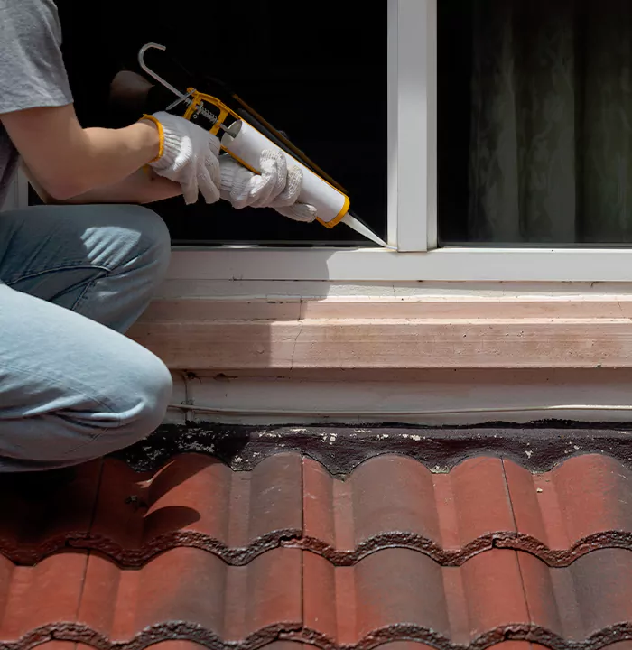 Roof Window Services in Pinewood, Florida