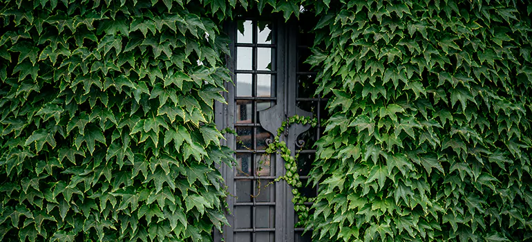 Garden Gate Repair in Pinewood, FL