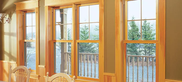 Government Incentives For Replacement Windows in Pinewood, FL