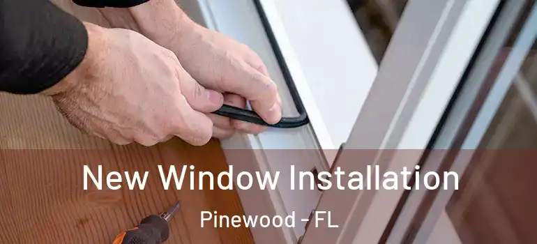  New Window Installation Pinewood - FL