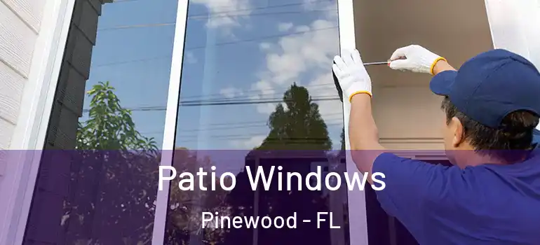  Patio Windows Pinewood - FL
