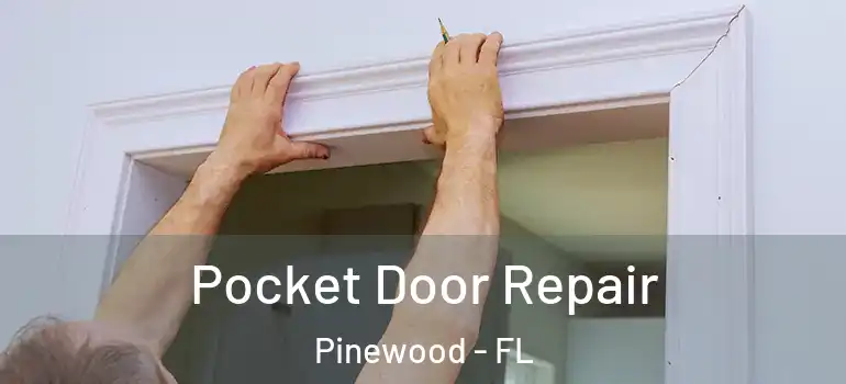  Pocket Door Repair Pinewood - FL