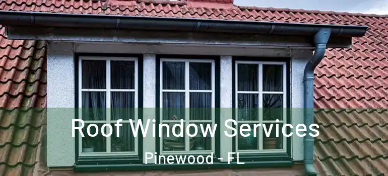  Roof Window Services Pinewood - FL