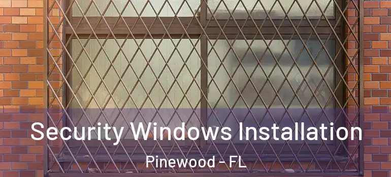 Security Windows Installation Pinewood - FL
