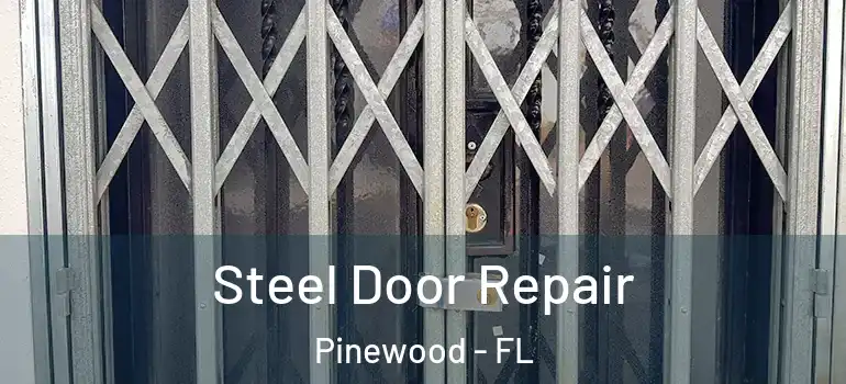  Steel Door Repair Pinewood - FL