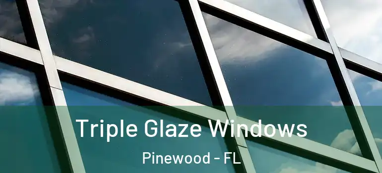  Triple Glaze Windows Pinewood - FL