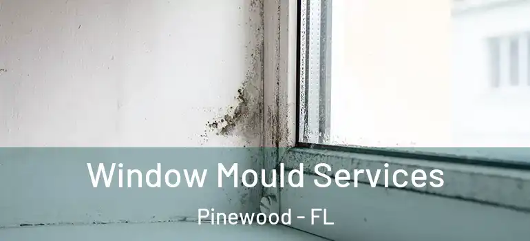  Window Mould Services Pinewood - FL