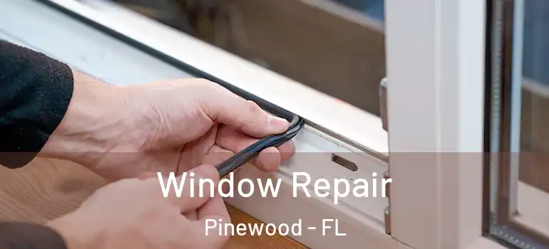  Window Repair Pinewood - FL